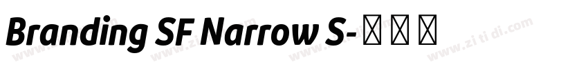 Branding SF Narrow S字体转换